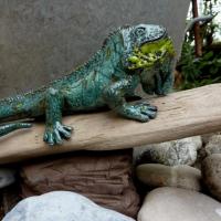 Iguane sur bois