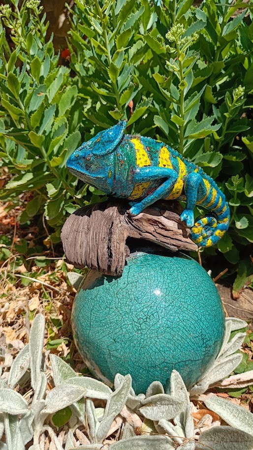Cameleon perche