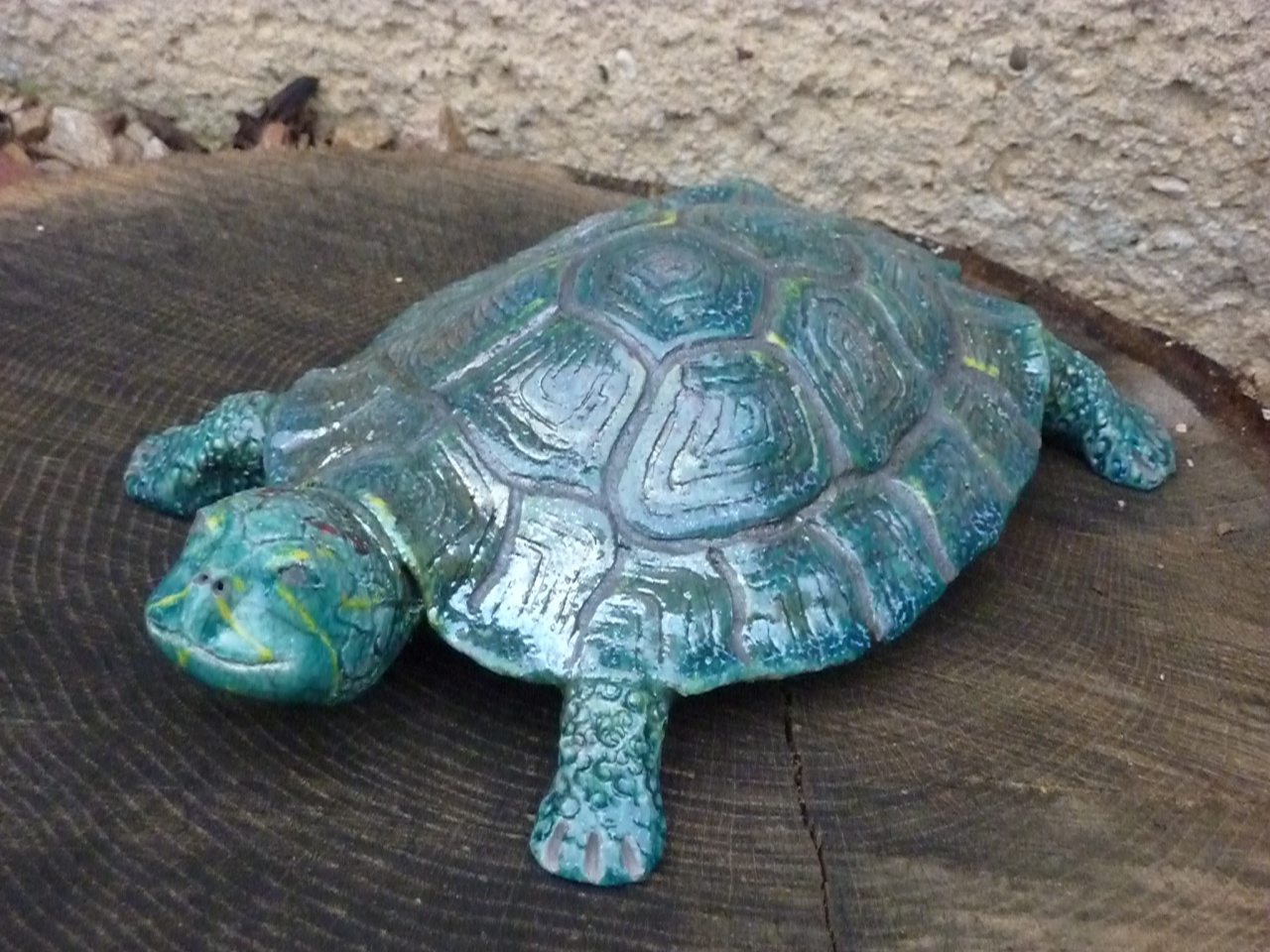 tortue californienne