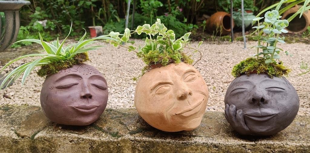 Tetes vegetales