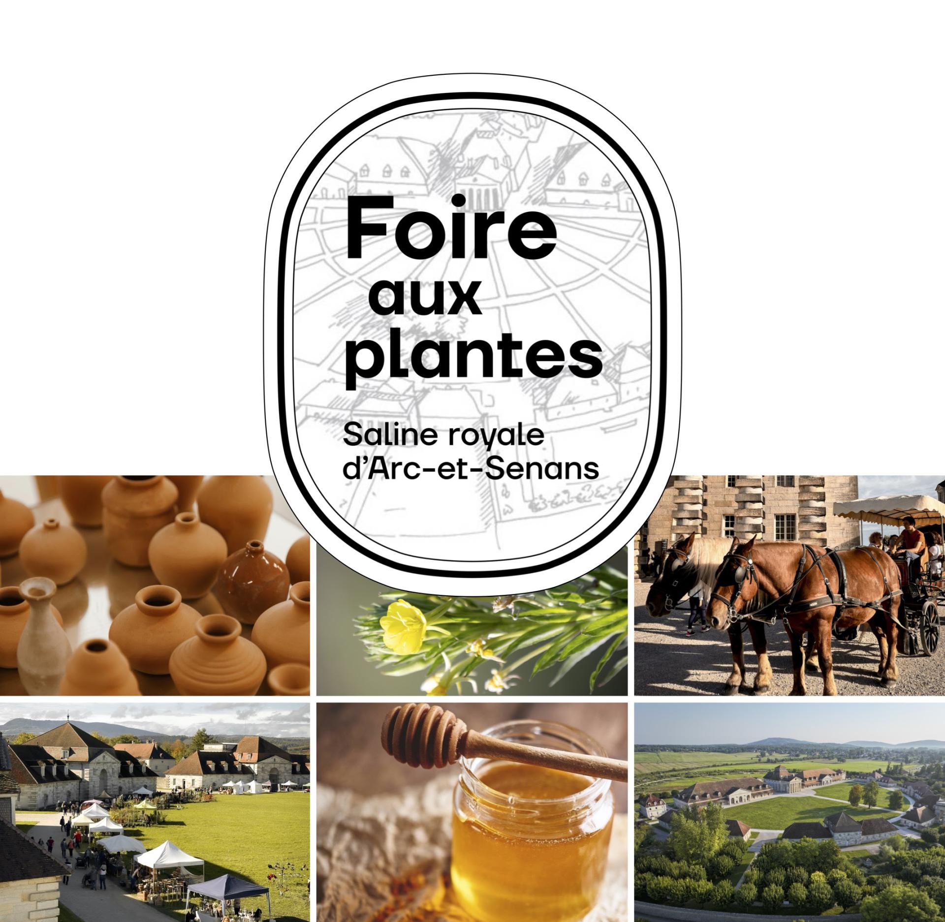 La saline royale